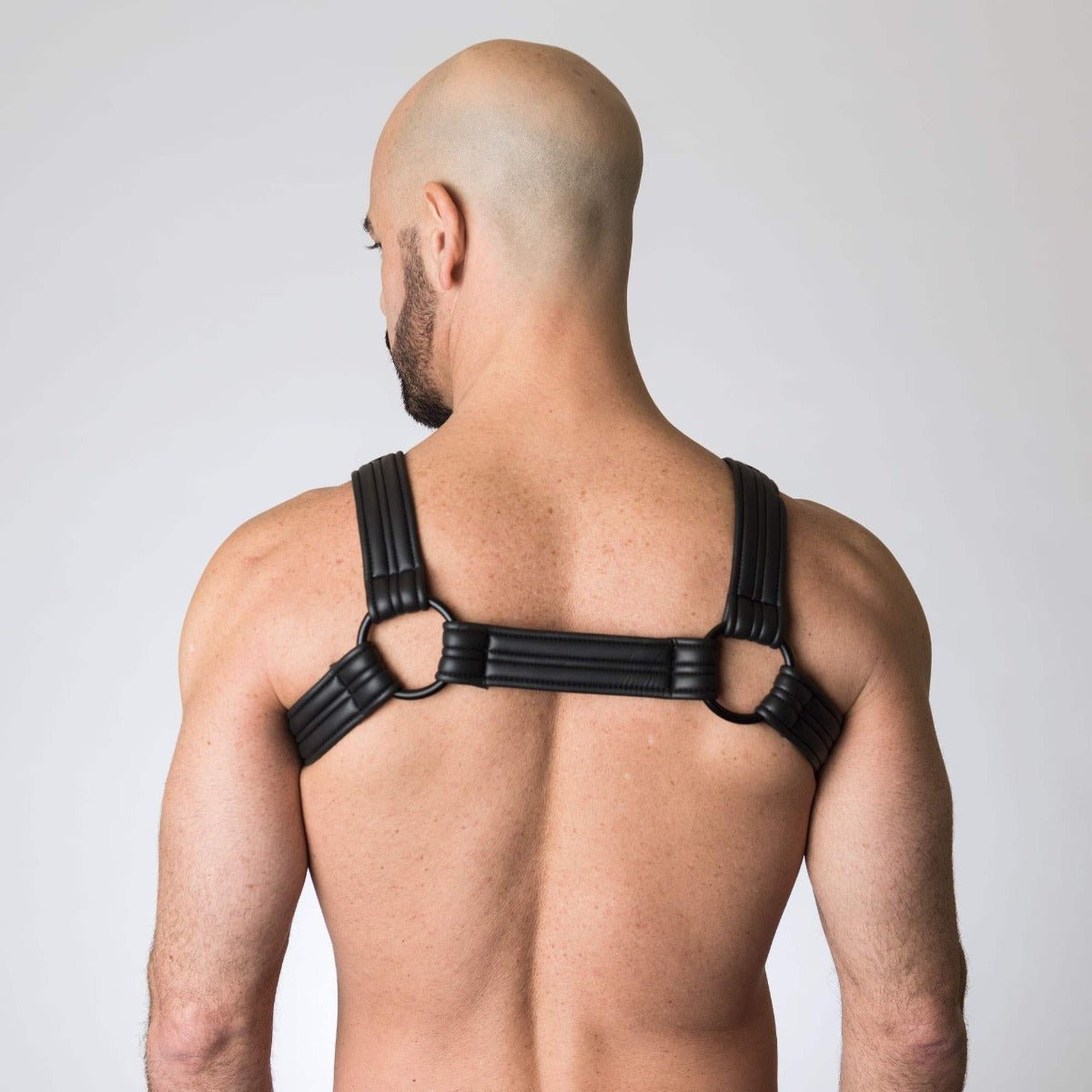 665 INC Neoprene Bulldog Harness Black