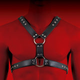 HIT Halter Harness Black