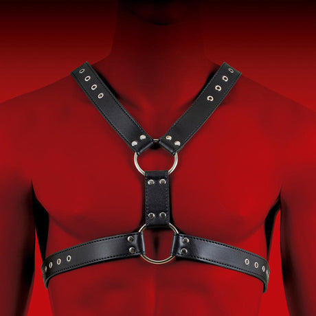 HIT Halter Harness Black