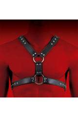 HIT Halter Harness Black