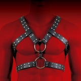 HIT Body Harness Black