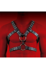 HIT Body Harness Black