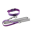 BASIXXX Show Collar and Leash Purple