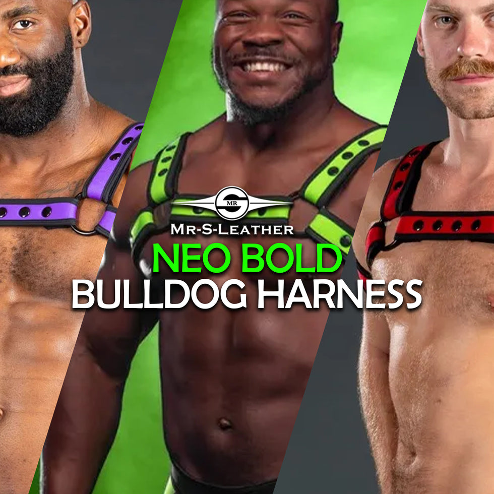 Neo Bold Harnesses from Mr S Leather