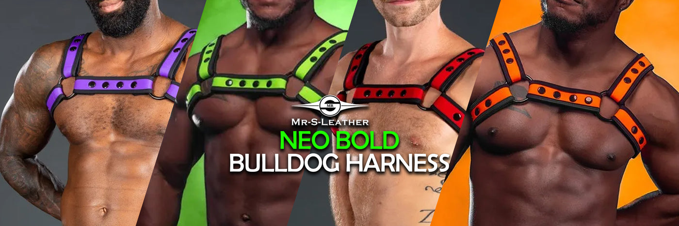 Neo Bold Harnesses from Mr S Leather
