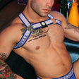 Breedwell Groove Bulldog Harness Blue