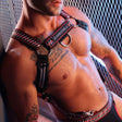 Breedwell Gymnetixxx Body Harness Red