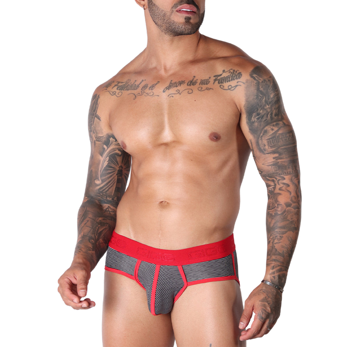 Gigo Liberty Brief