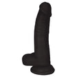 Jock Dildo with Balls 8 Inch Midnight