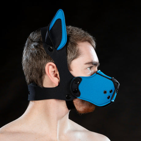 Mr S Leather Neoprene K9 Ears Cobalt
