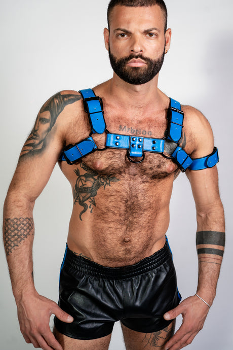 ruff GEAR Bold Leather Bulldog Harness Blue