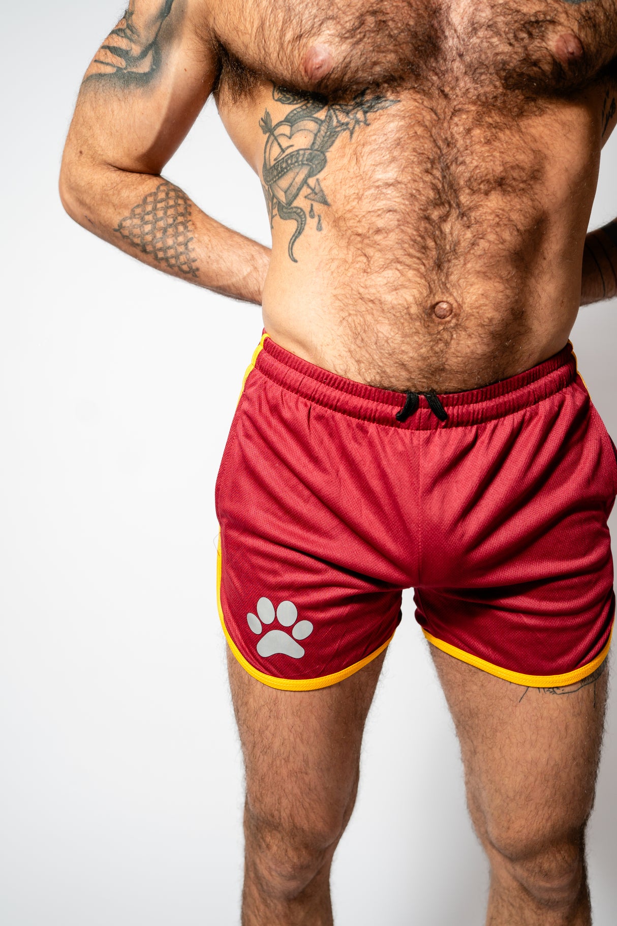 PWR Pup Mesh Paw Print Short Claret Yellow