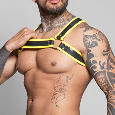 Dale Mas Biker + Harness Black Yellow