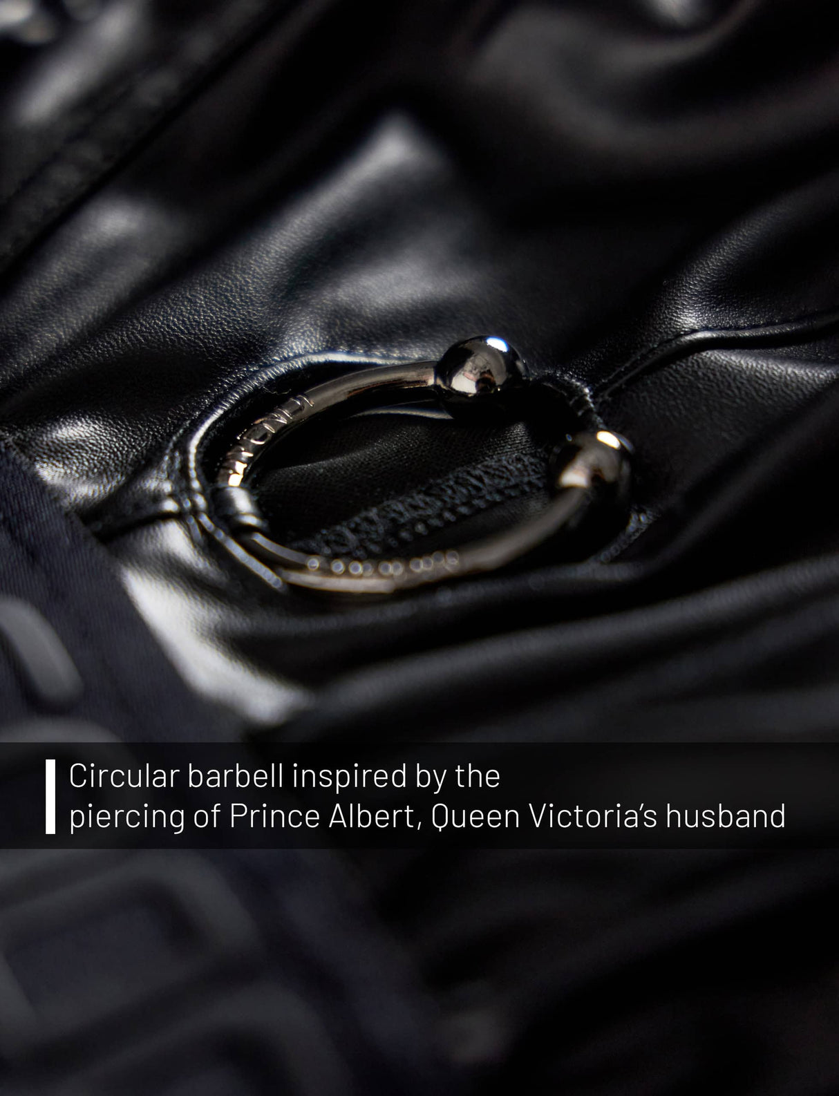 Modus Vivendi Prince Albert Jockstrap Black