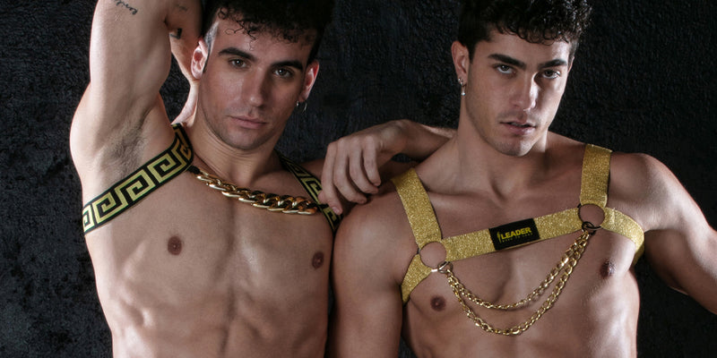 Leader Gay Fashion, Harness, Underwear and Army