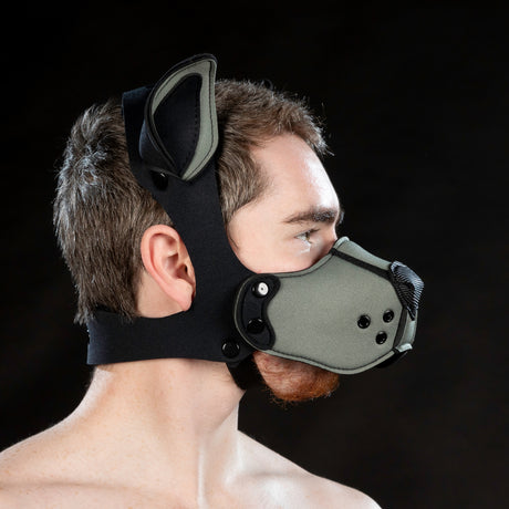 Mr S Leather Neoprene K9 Ears Grey
