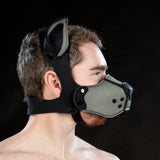 Mr S Leather Neoprene K9 Muzzle Grey