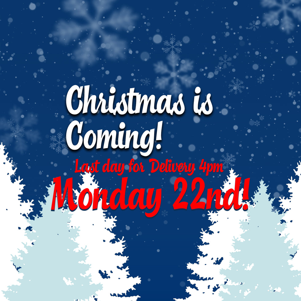 Last Day Christmas Delivery