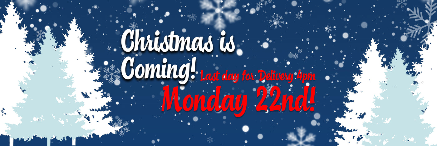 Last Day Christmas Delivery
