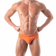 Leader Bikini Swunderwear Terracotta