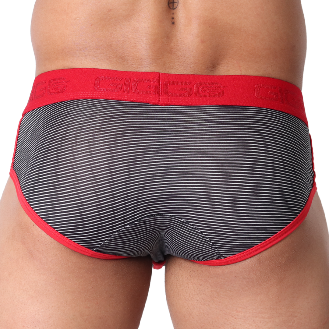 Gigo Liberty Brief