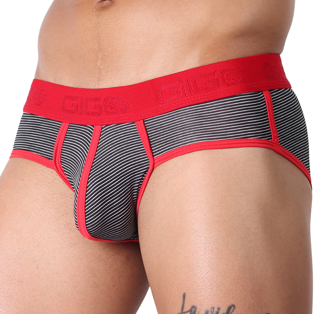 Gigo Liberty Brief