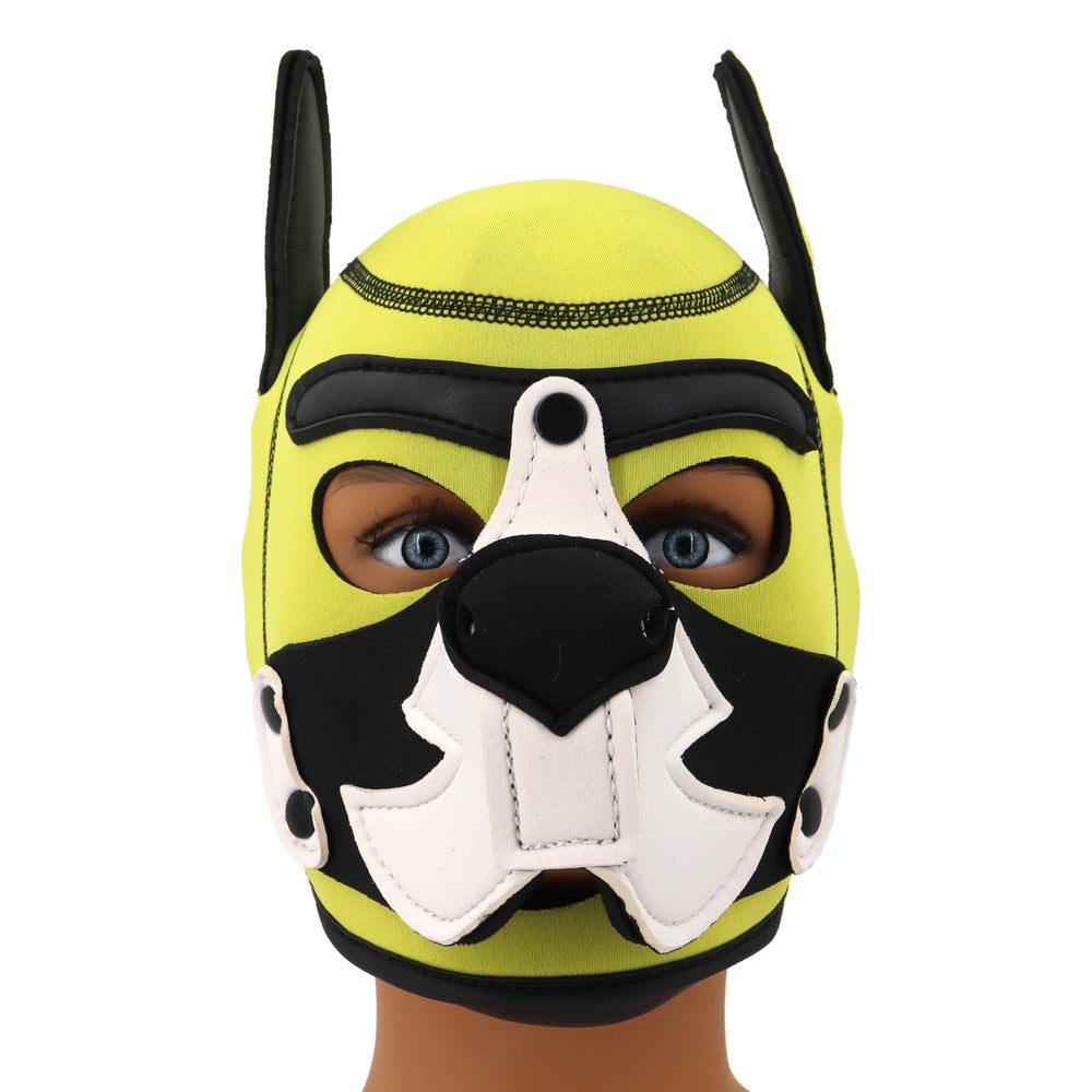 Growler Pup Hood Yellow White