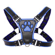Master Series Alpha Pup Bulldog Harness Blue