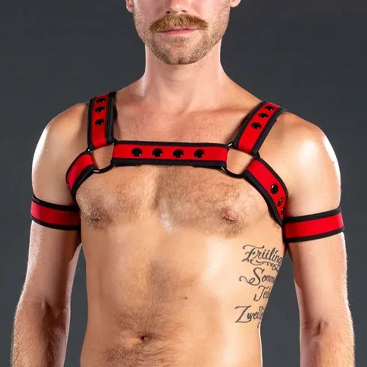 Mr S Leather Neo Bold Colour Bulldog Harness Red