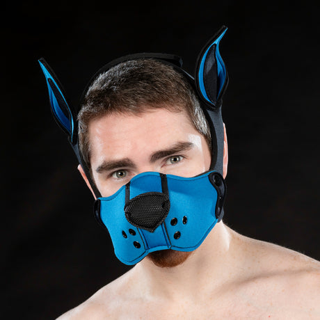 Mr S Leather Neoprene K9 Ears Cobalt