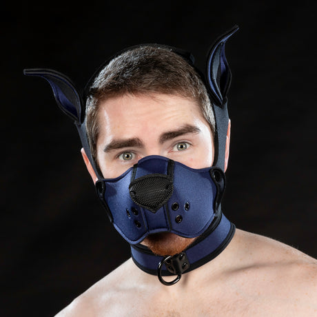 Mr S Leather Neoprene K9 Ears Navy