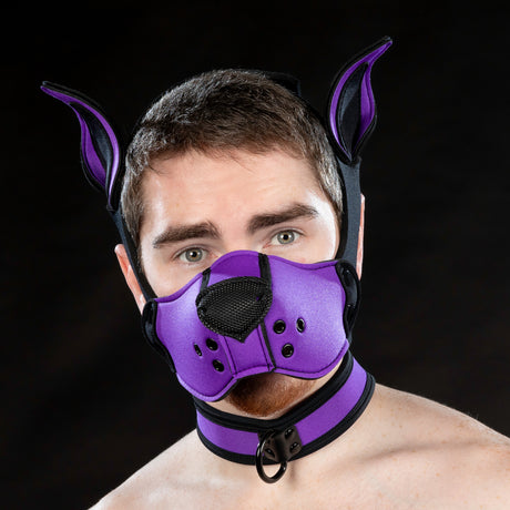 Mr S Leather Neoprene K9 Ears Purple