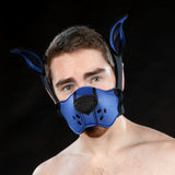 Mr S Leather Neoprene K9 Muzzle Royal