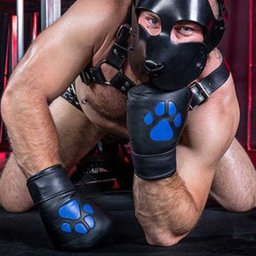 Mr S Leather Padded K9 Mitts Blue
