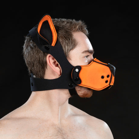 Mr S Leather Neoprene K9 Ears Orange