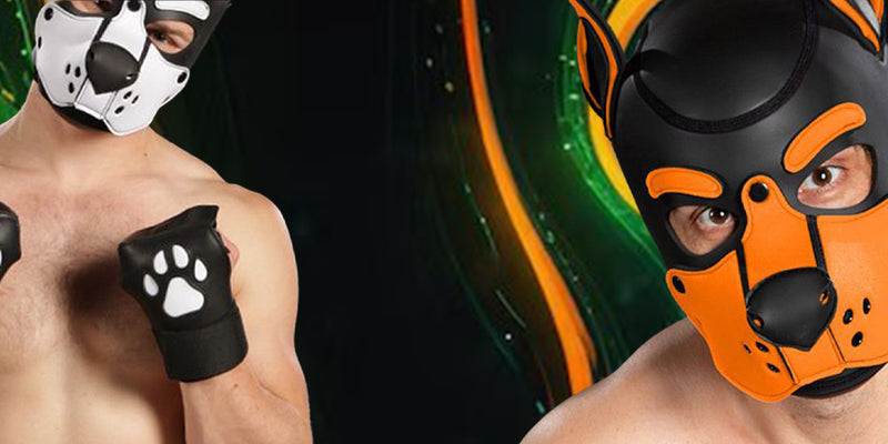 Pup Gear up to Half Price