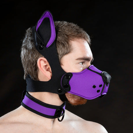 Mr S Leather Neoprene K9 Ears Purple