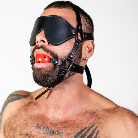 ruff GEAR Rein Harness with Breathable Ball Gag