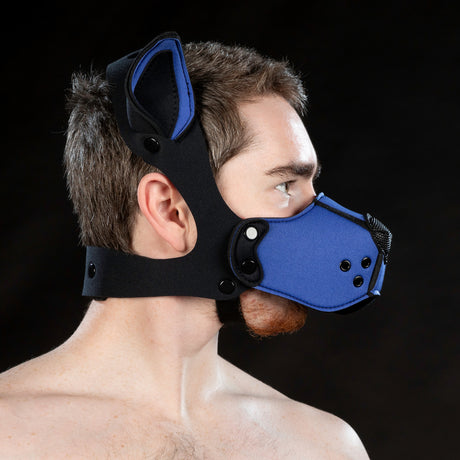 Mr S Leather Neoprene K9 Ears Royal