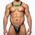 Spartas Efesto Neo Full Body Harness Green