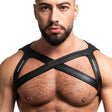 Spartas Icaro Neo Cross Harness Black