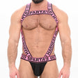 Spartas Peplo Full Body Harness and Jockstrap Pink