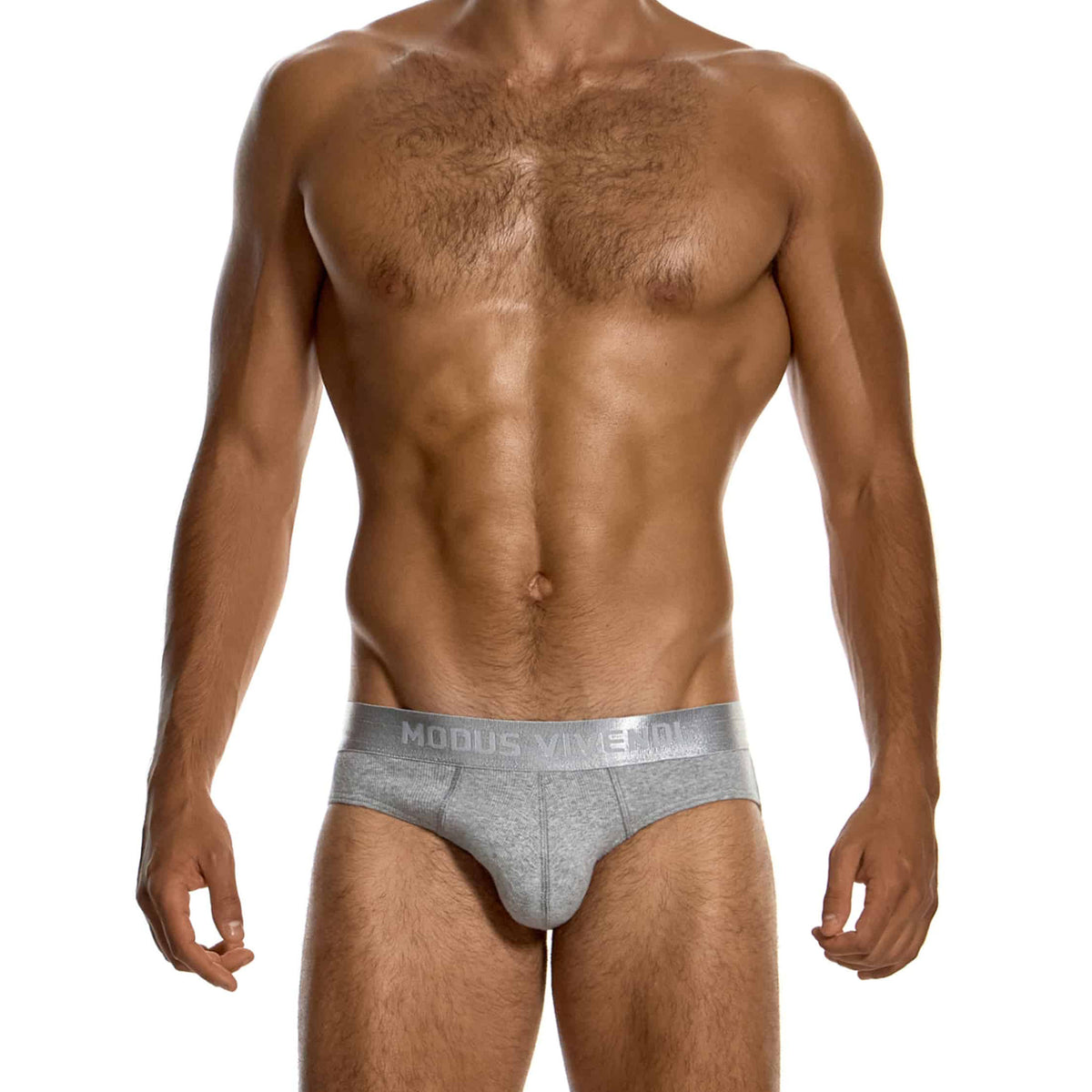 Modus Vivendi Ribbed Cotton Classic Brief Grey