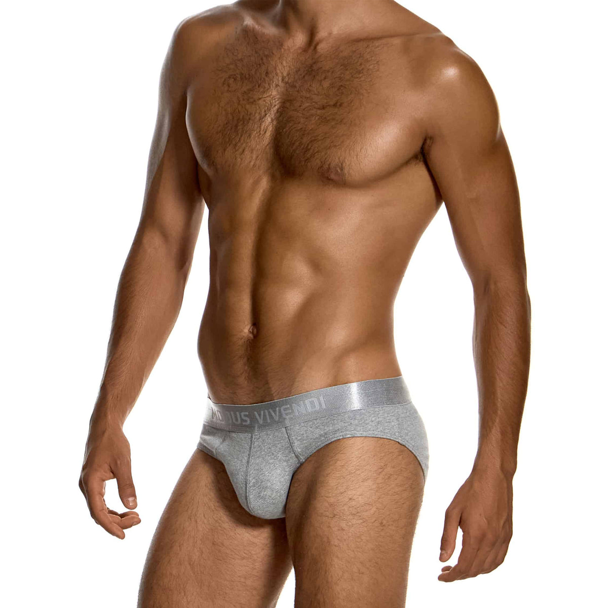 Modus Vivendi Ribbed Cotton Classic Brief Grey