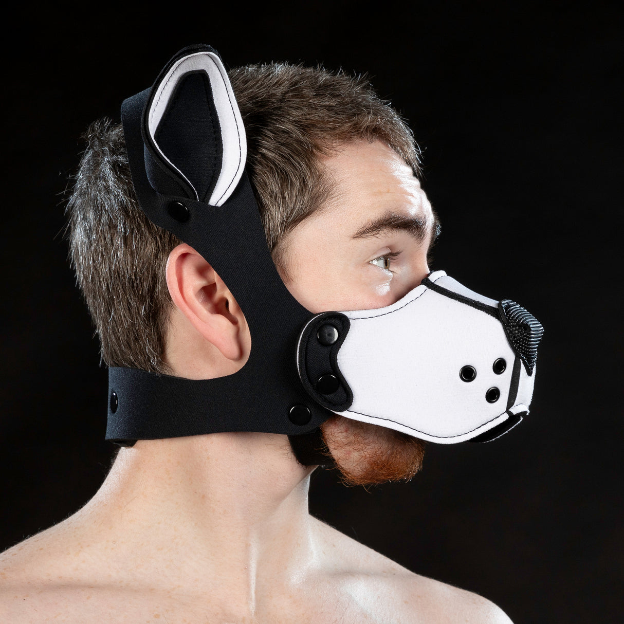 Mr S Leather Neoprene K9 Muzzle White