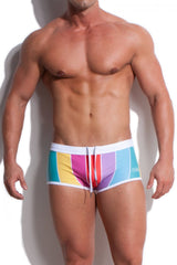 Alexander Cobb Swim Trunk Stripe - FETCH