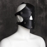 BASIXXX Full Control Head Harness