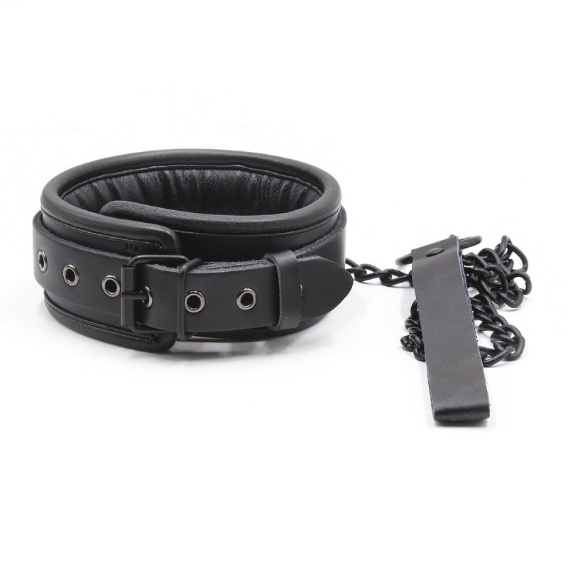 BASIXXX Padded Collar and Leash - FETCH