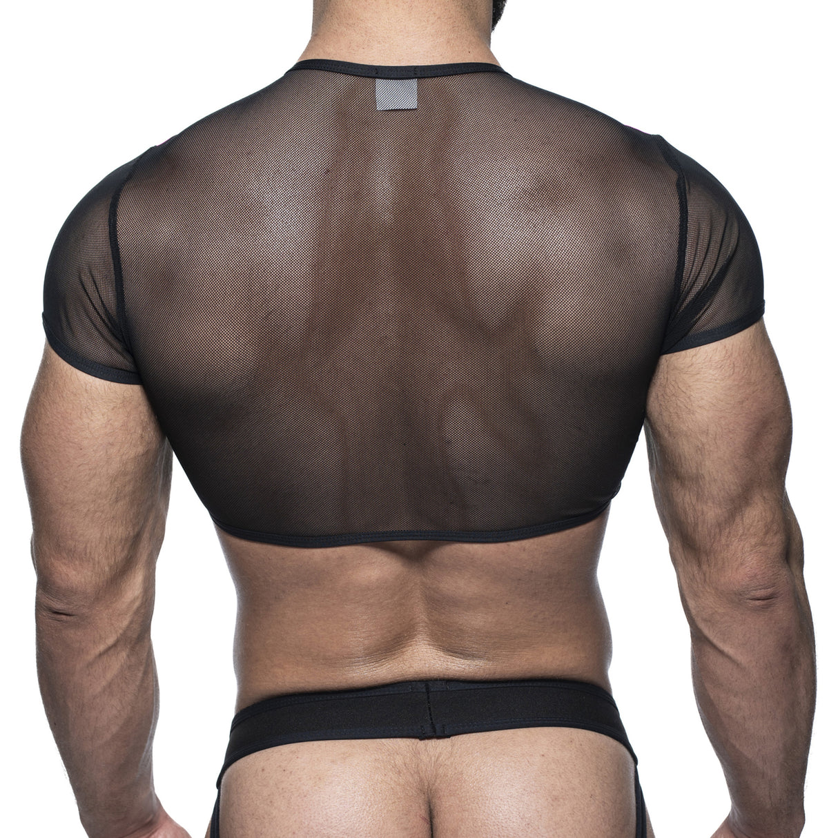 Spartas Artemide Crop Harness Black