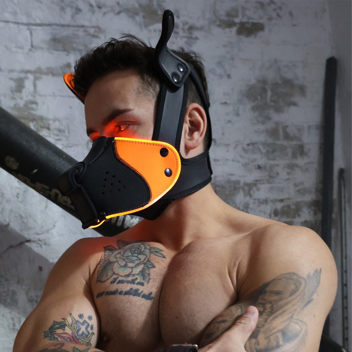 Breedwell Poundtown Pup Mask 2.0 Neon Orange